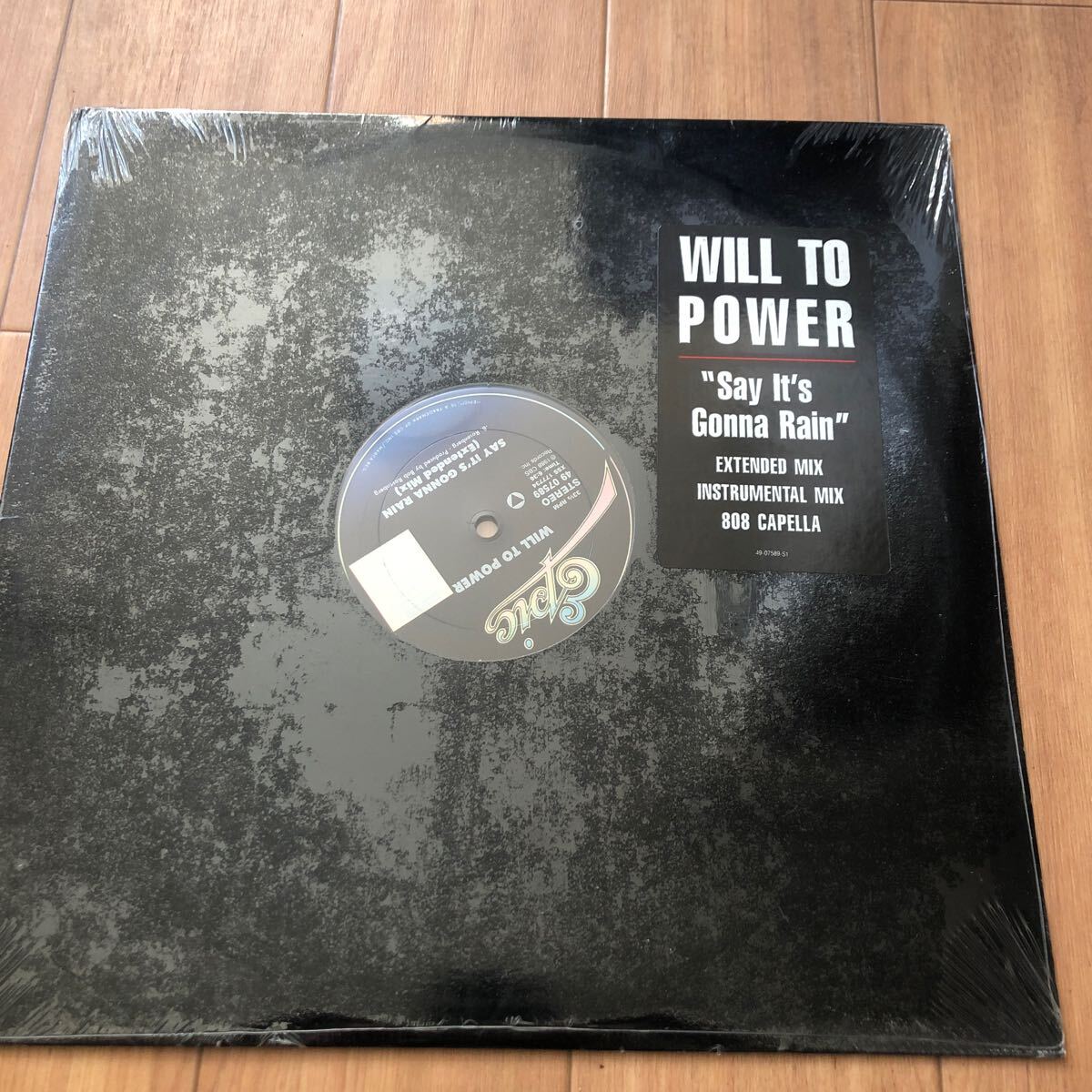 12’ Will To Power-Say it’s gonna rain_画像1