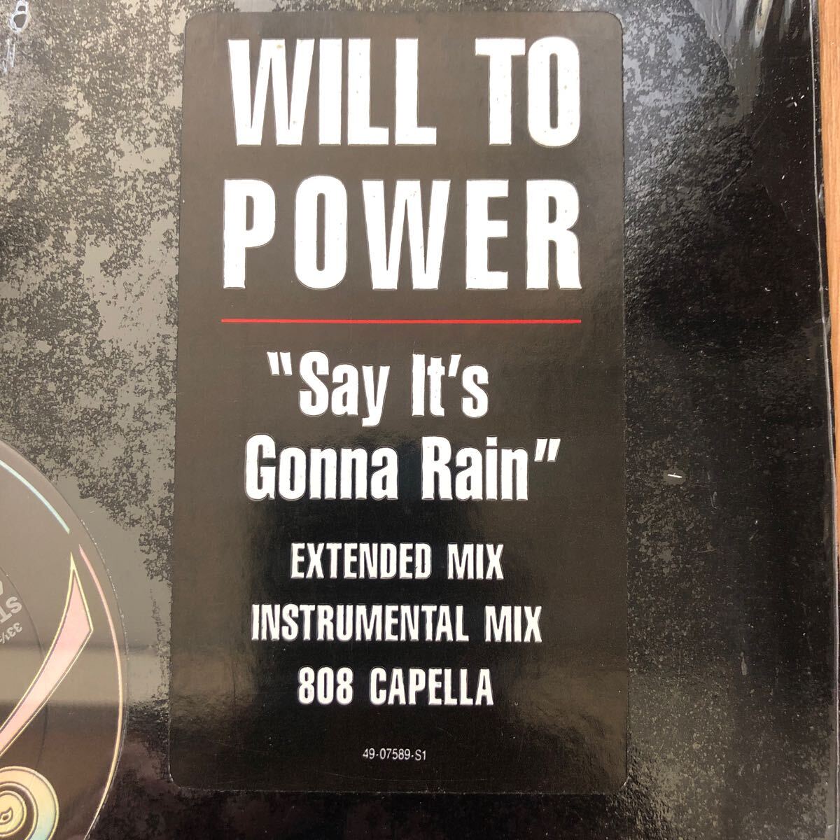 12’ Will To Power-Say it’s gonna rain_画像2
