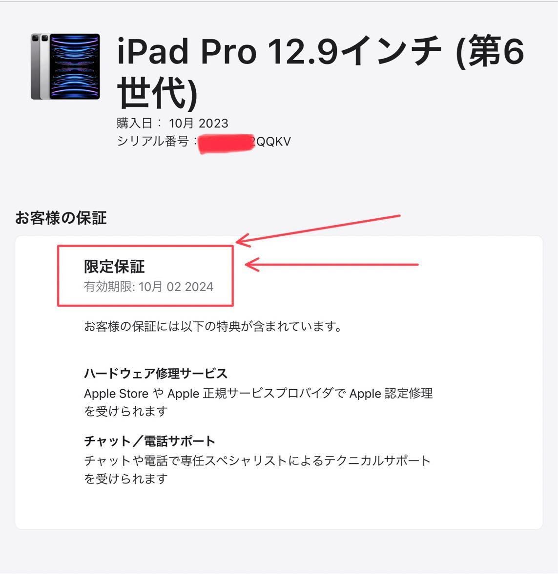 未使用 iPad Pro 12.9インチ 第6世代 256GB Wi-Fiモデル A2436 シルバー