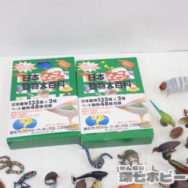 MX18* шоколадное яйцо коллекция животных Японии др. фигурка суммировать много комплект Junk / рептилии шоко Q черепаха . рыба насекомое Kaiyodo отправка :-/80