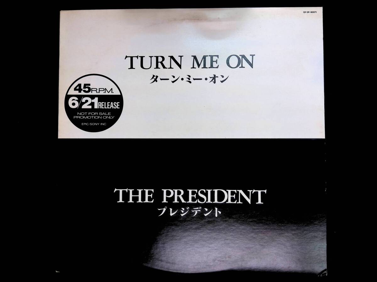 レコード LP　プロモ盤　ネーナ　Nena　Just A Dream 　プレジデント THE PRESIDENT Turn Me On　　YL139 10