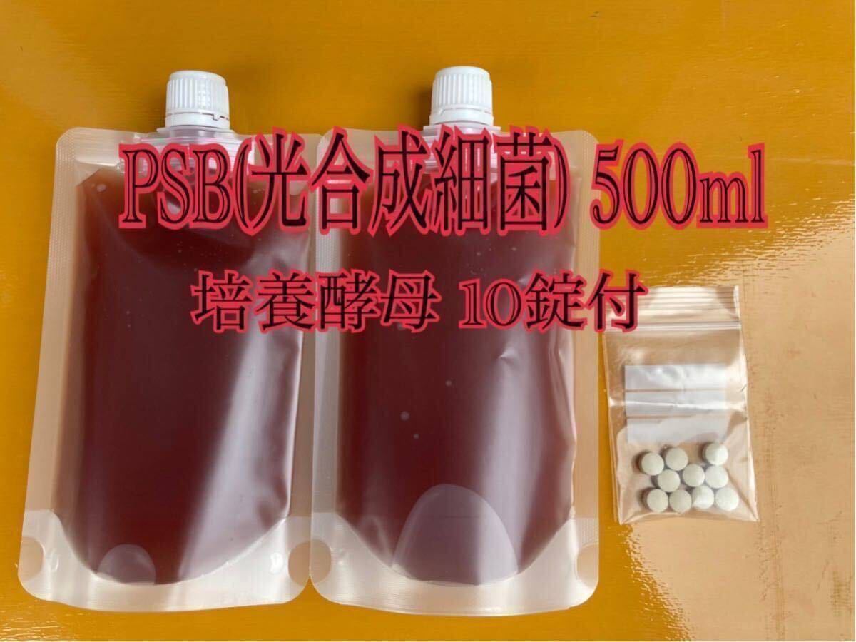 PSB(光合成細菌) 500ml 培養酵母10錠付【送料無料】10_画像1