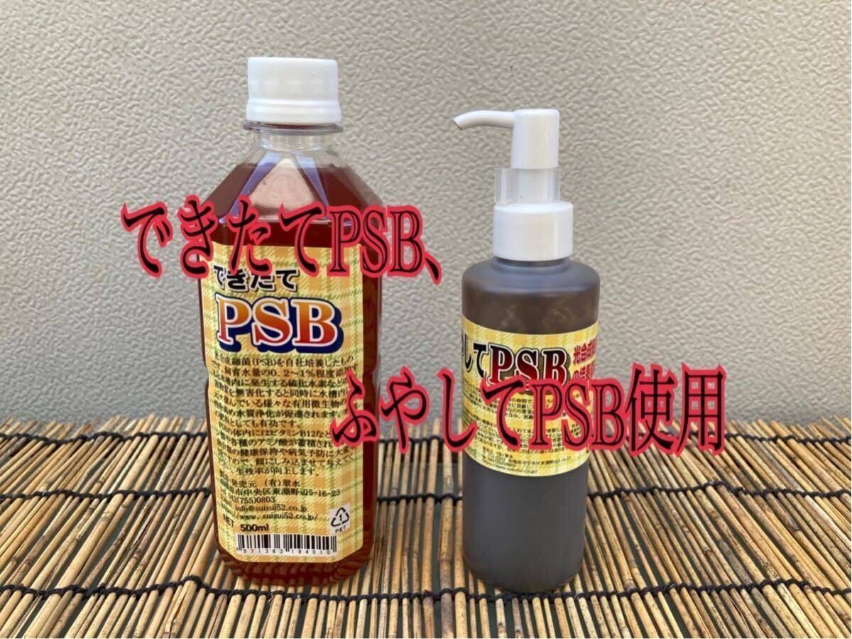 PSB(光合成細菌) 500ml 培養酵母10錠付【送料無料】11の画像2