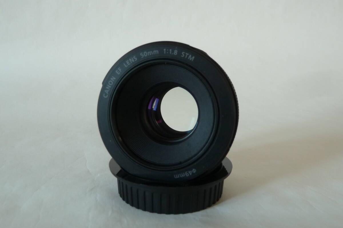 Canon 単焦点レンズ EF50mm F1.8 STM フルサイズ対応・中古美品の画像5