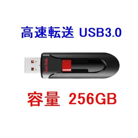 送料無料 SanDisk USBメモリー256GB USB3.0対応 SDCZ600-256G-G35の画像1