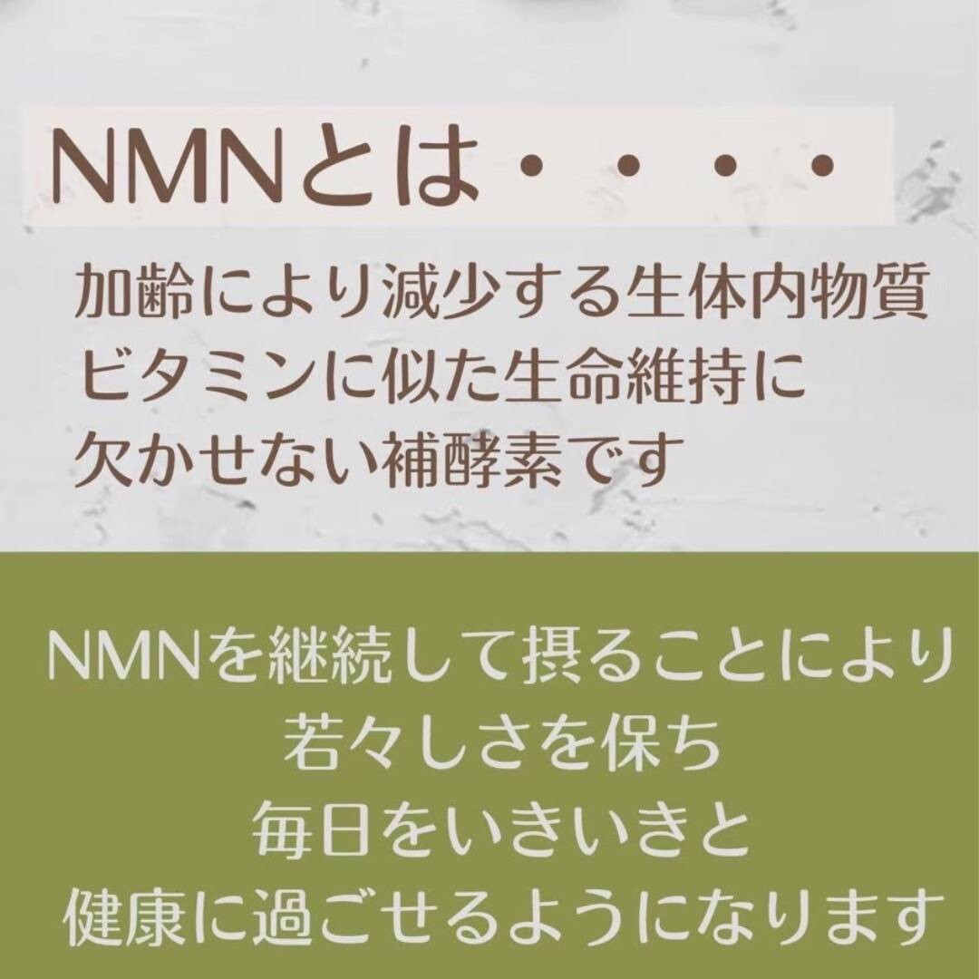 訳あり NMNサプリ EVERBEAUTY NMNPLATINUM  事業所さま向け 瓶 賞味期限8月 の画像4