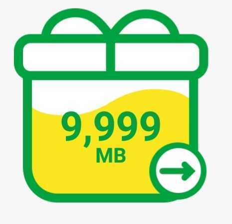 マイネオ パケットギフト 10GB（9999MB）mineo の画像1