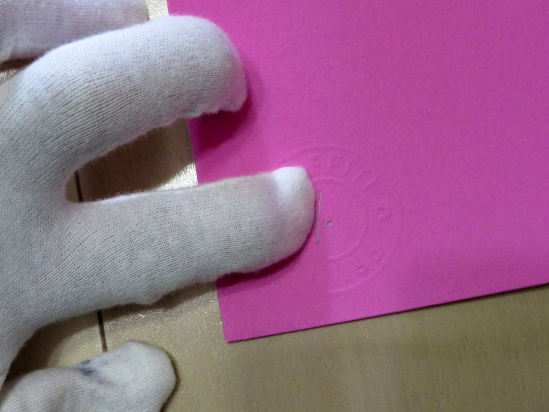 Kunstrasen クンストラーゼン Fighting a Blank Paper Pink フェンサー 10作品限定 シルクスクリーン ポスター 版画_画像8