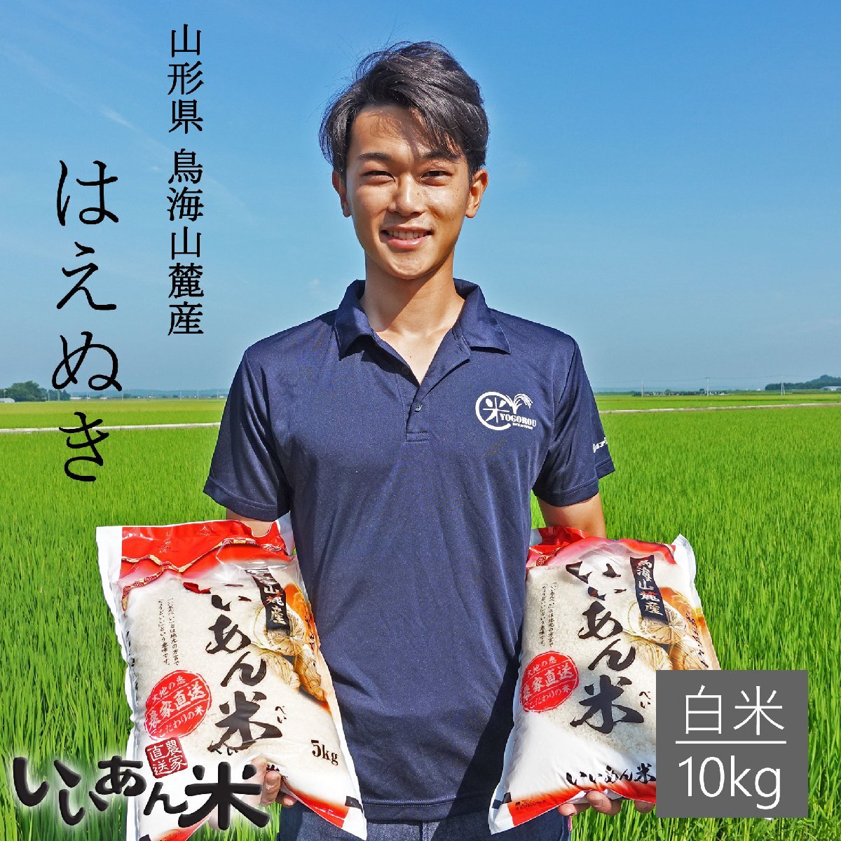 山形県庄内産　『はえぬき』　白米１０ｋｇ(５ｋｇ２袋)　慣行栽培米　産地直送　いいあん米　令和５年産　送料無料！！　米　お米　人気_画像1