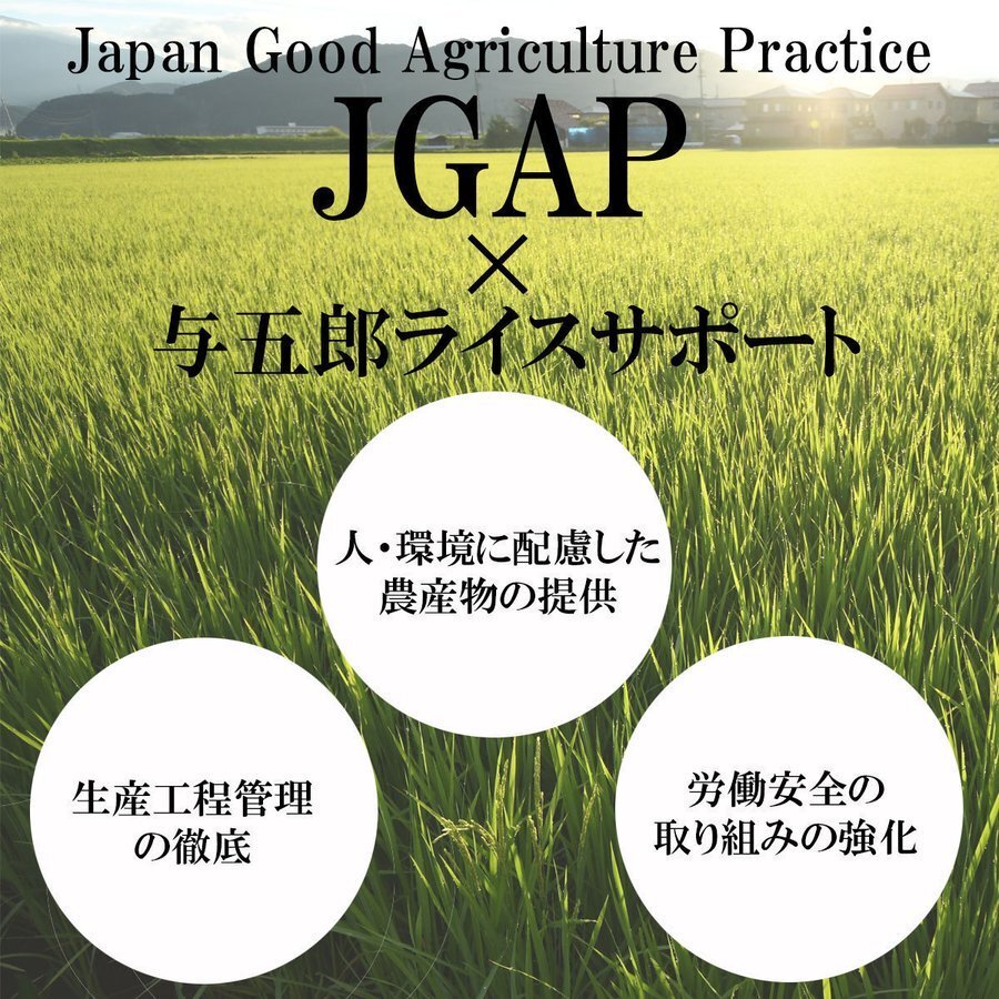 山形県庄内産　『はえぬき』　白米１０ｋｇ(５ｋｇ２袋)　慣行栽培米　産地直送　いいあん米　令和５年産　送料無料！！　米　お米　人気_画像7