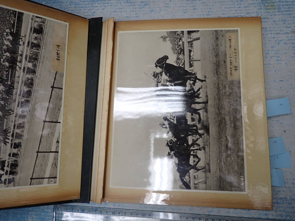  horse racing album photograph 60 sheets Japan Dubey contest sin The n Arrow Express taninom- Tey e