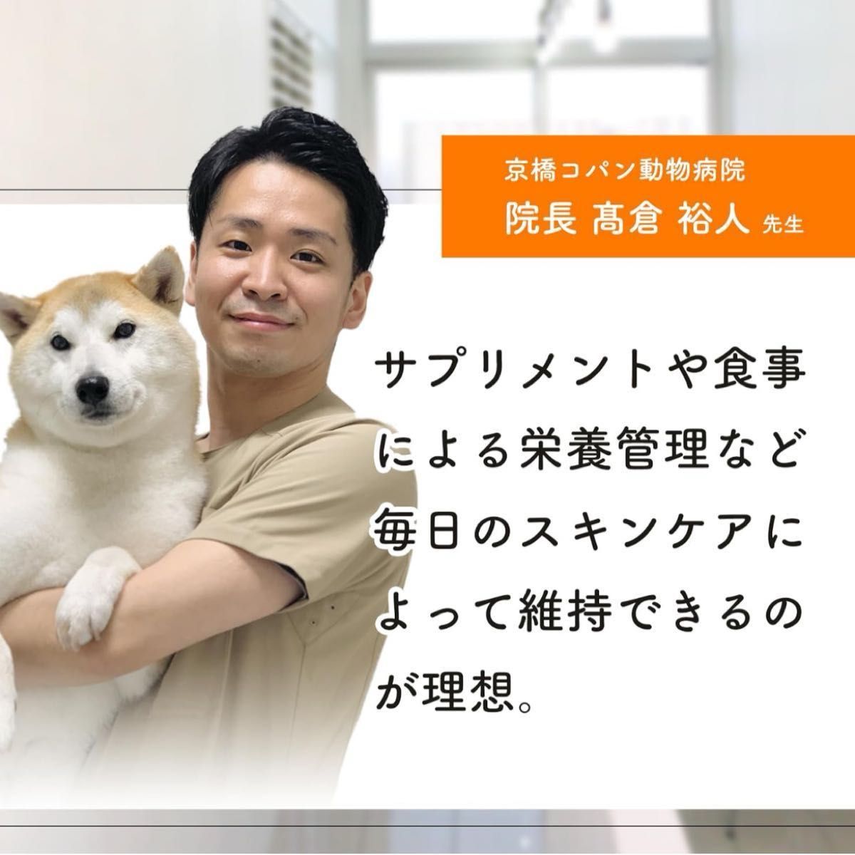 コラーゲンペプチド＆ローヤルゼリー　犬用 猫用 皮膚・毛艶の健康維持サプリ＜1袋60杯入/付属スプーン付＞3袋セット