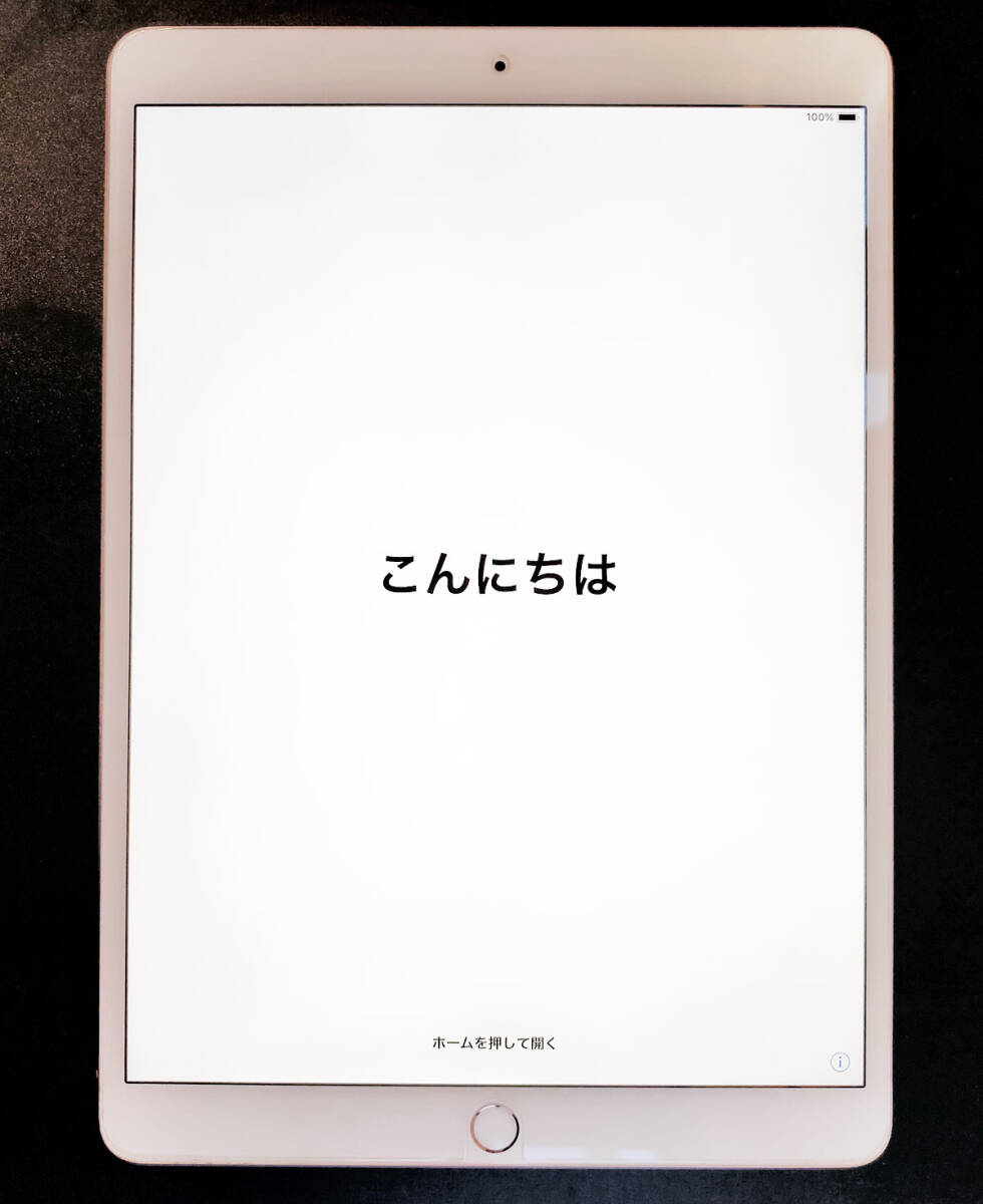 外箱あり 美品 iPad Pro 10.5インチ Wi-Fi 64GB ローズゴールド MQDY2J/A A1701 動作確認済の画像8