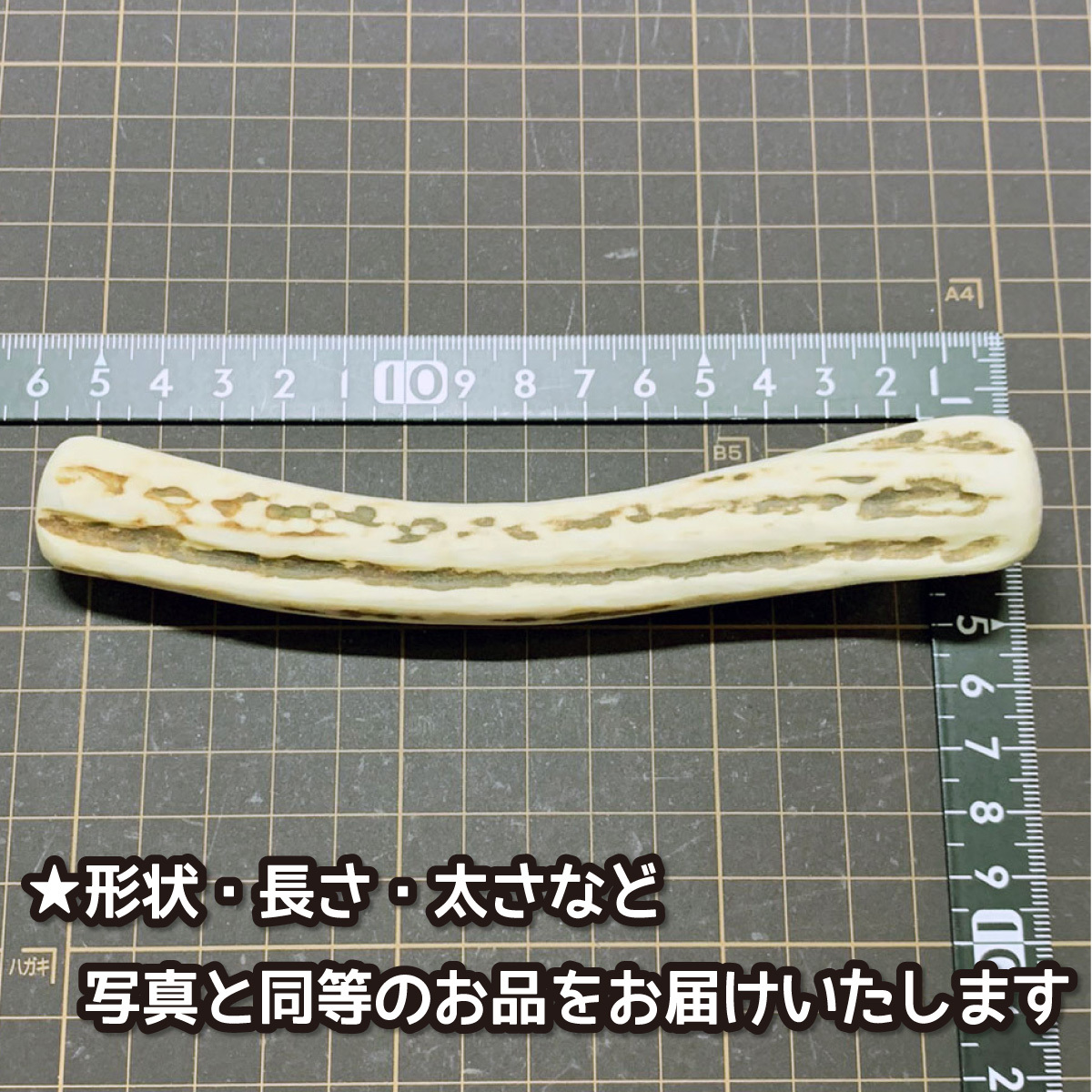 # for medium-size dog # natural Hokkaido production .. deer. angle # 4 half tenth 1 pcs # dog. toy # no addition # deer. angle dog ezo deer tsuno37112