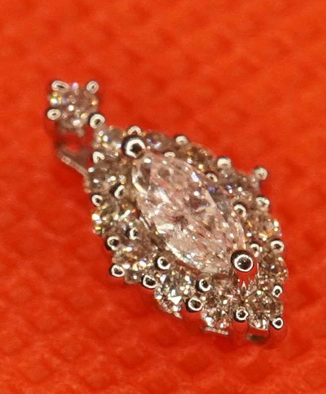  diamond 0.30ct pt950 pendant top large net ladybug E17-745-5