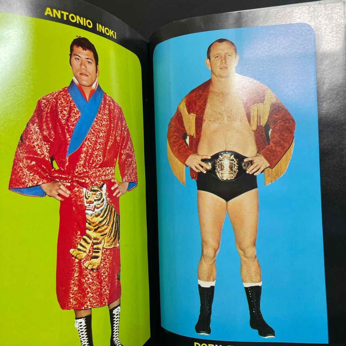 ベースボールマガジン プロレス 1973年5月増刊号 力道山死後日本マット界の10年 昭和48年の画像4