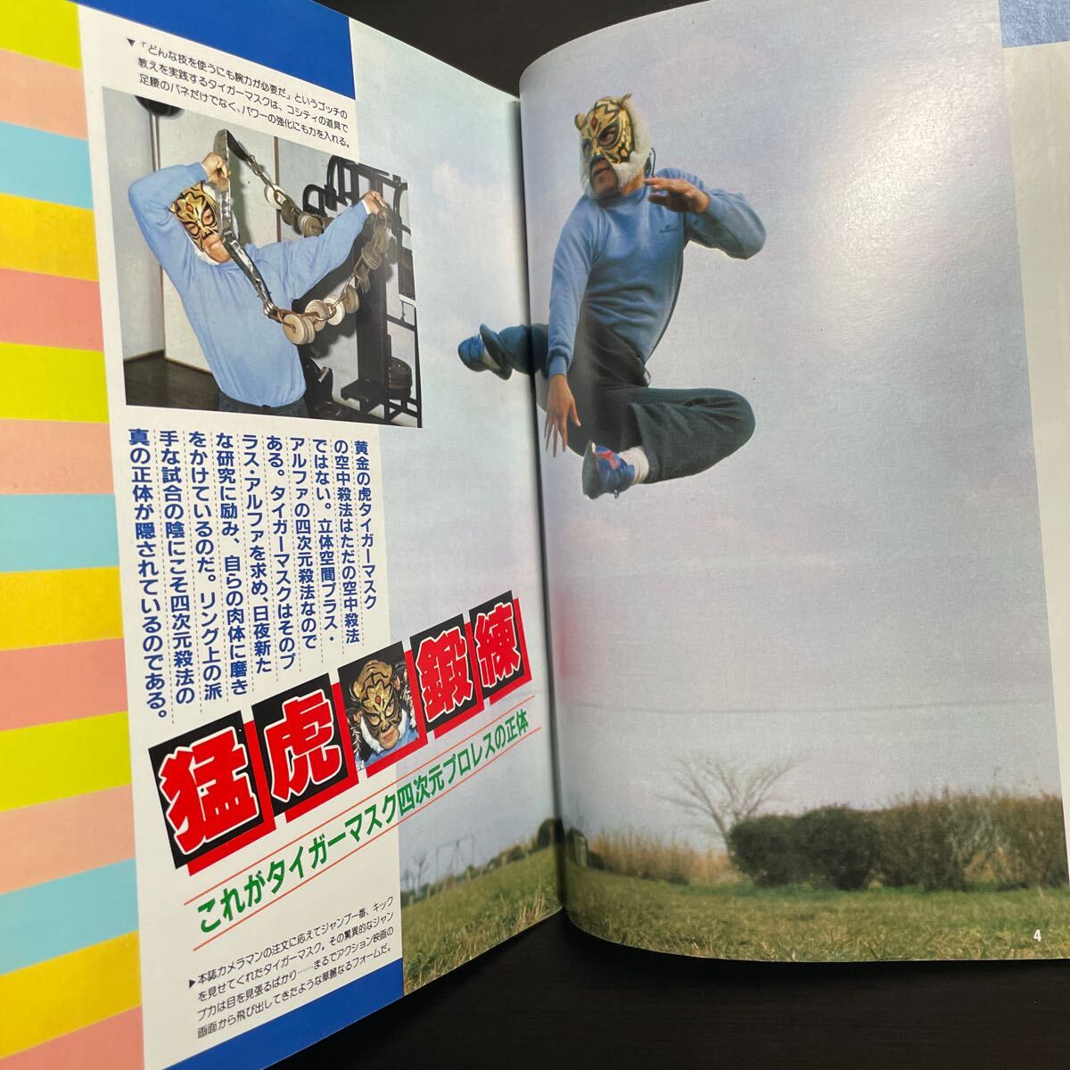 ゴング 4月号増刊 ゴング・ベスト・アルバム・シリーズ⑦ 空中戦 プロレス写真画報の画像3