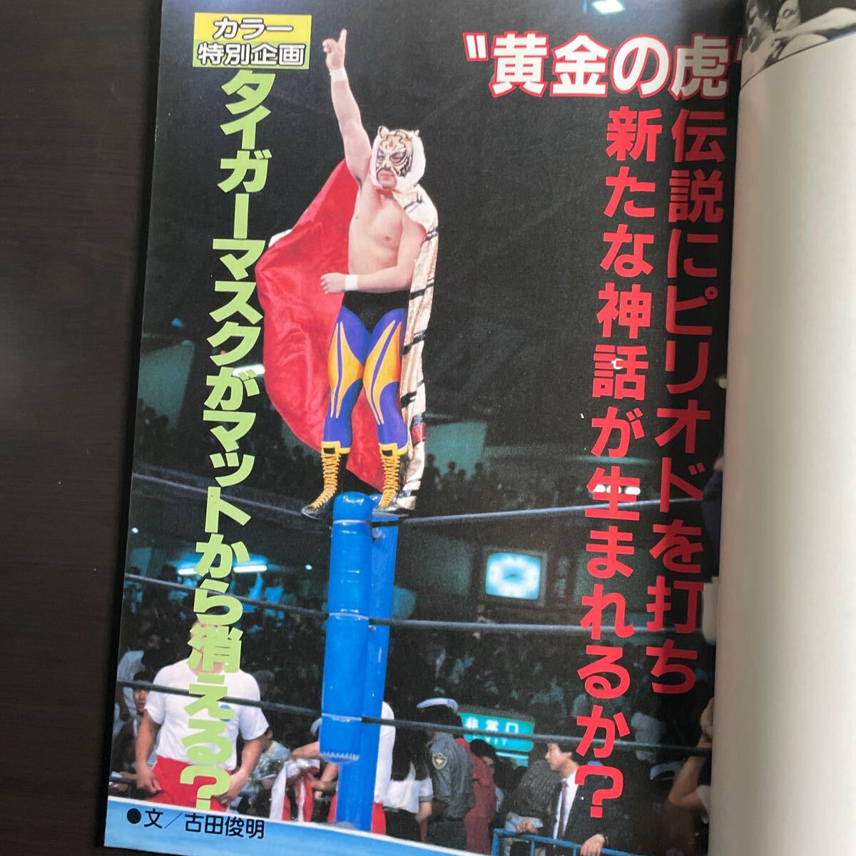 エキサイティングプロレス デラックス版 1983年8月号 昭和58年 ポスター付属の画像5