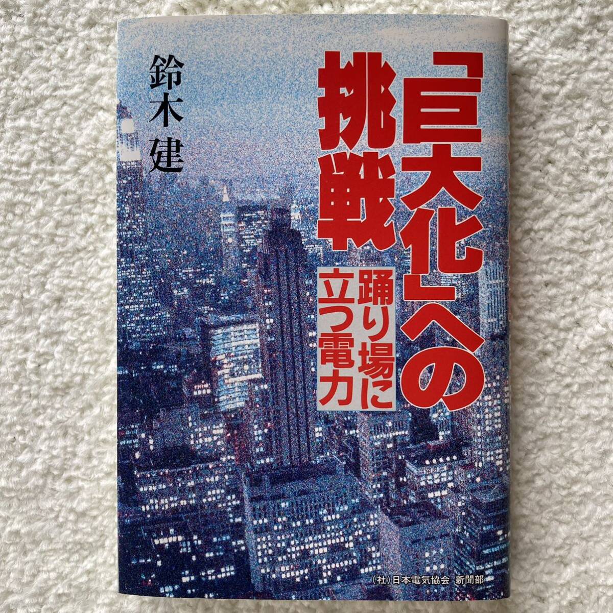 「巨大化」への挑戦 踊り場に立つ電力/鈴木建_画像1