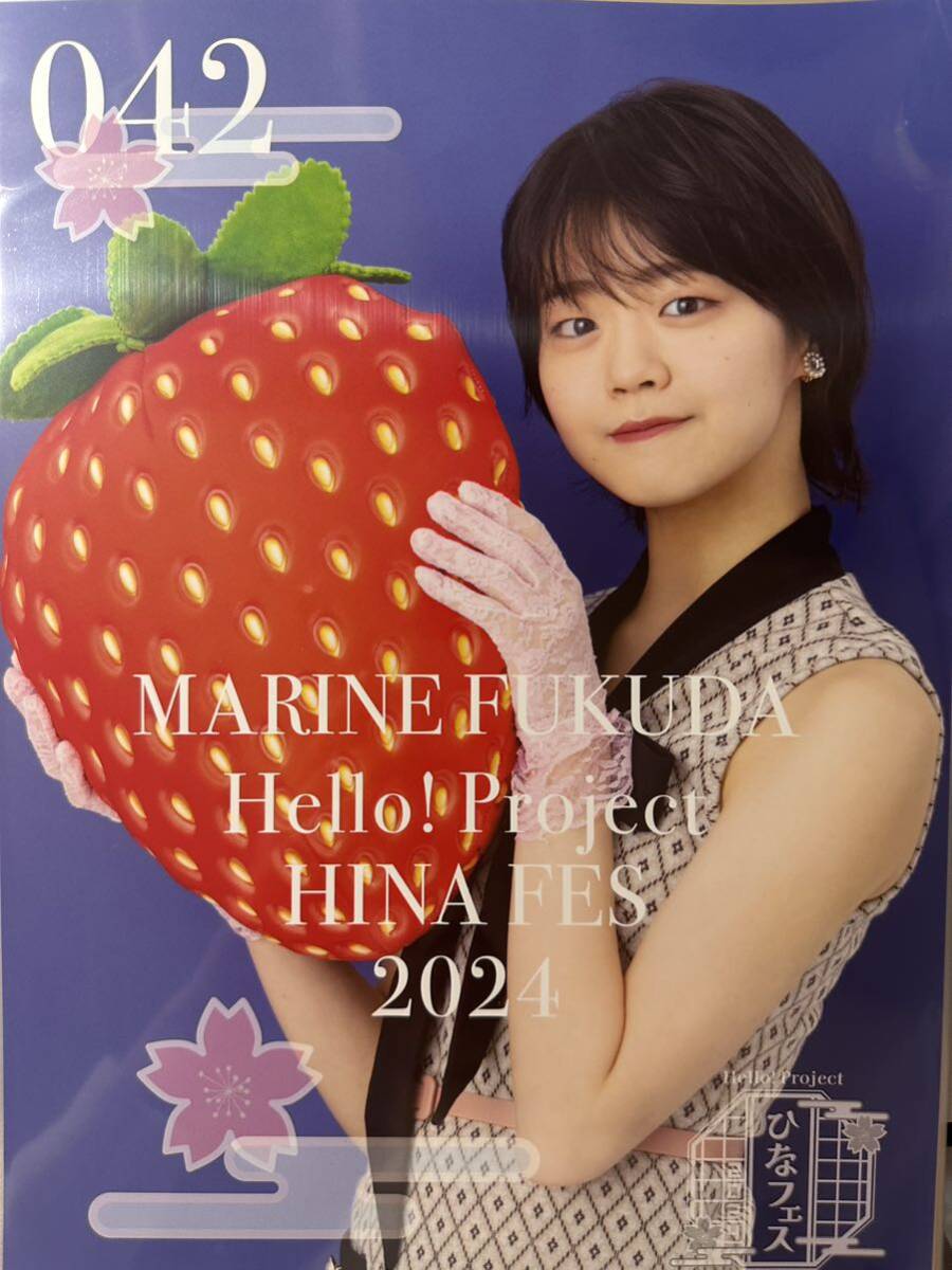 福田真琳 つばきファクトリー ひなフェス2024 コレクションピンナップポスター ピンポス_画像1