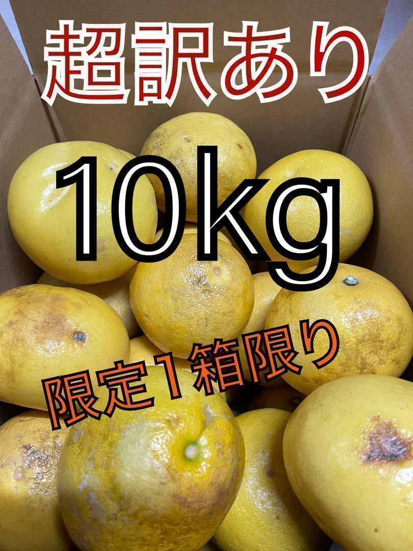 超訳あり土佐文旦  10kgの画像1