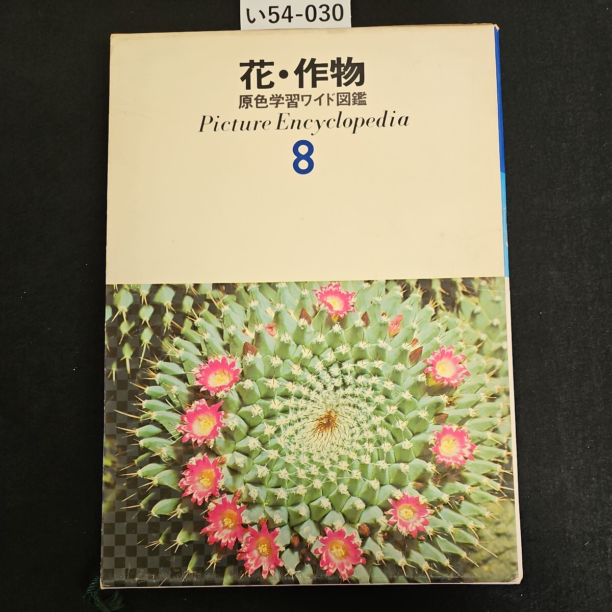 い54-030 花・作物 原色学習ワイド図鑑 Picture Encyclopedia 8 - 図鑑 い54-030 花・作物 原色学習ワイド図鑑 Picture Encyclopedia 8 - 図鑑