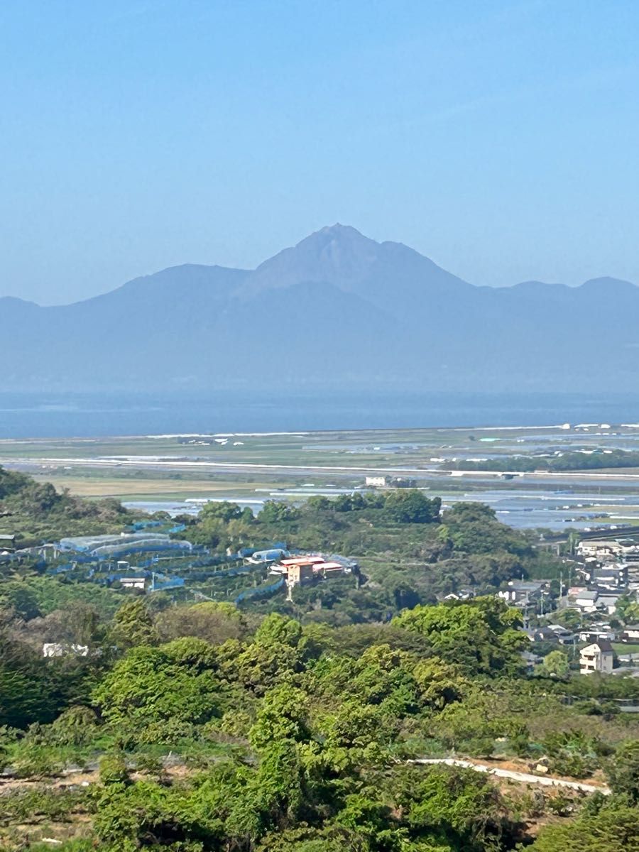 ★ 甘・酸・甘！ ●河内晩柑●１０キロ箱入　箱込み9.５キロ位　小玉