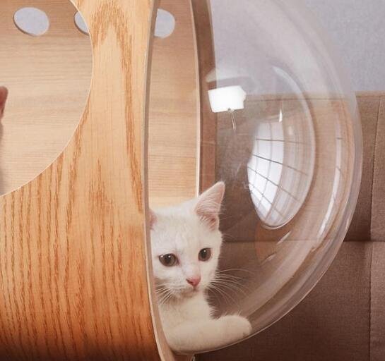 高品質/ キャットハウス キャットベッド 猫用ハウス ペット用品 天然木 ナチュラル 庭用 小動物ケージ