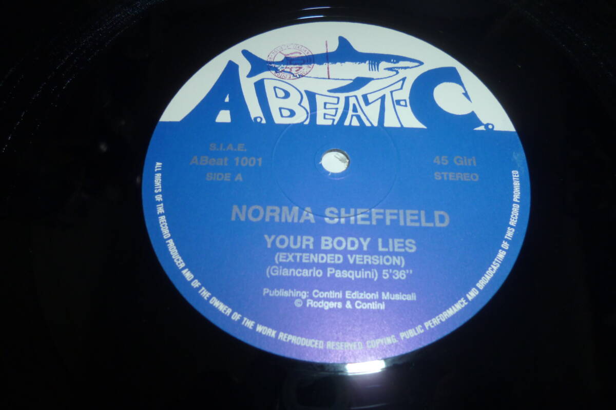  12” NORMA SHEFFIELD // YOUR BODY LIES_画像4