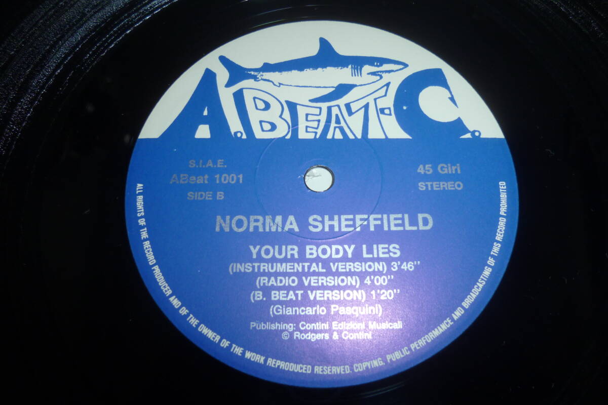  12” NORMA SHEFFIELD // YOUR BODY LIES_画像5