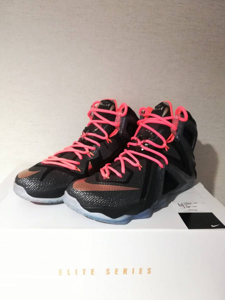 lebron 12 elite