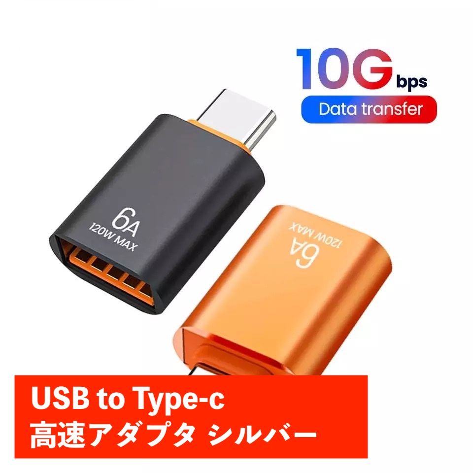 変換アダプタ Type-C to USB 6A 銀 697
