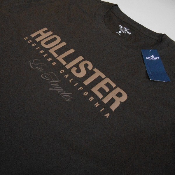 HOLLISTER*ホリスター/US:XXL/ブラウン/長袖ロゴグラフィックTシャツ_画像3