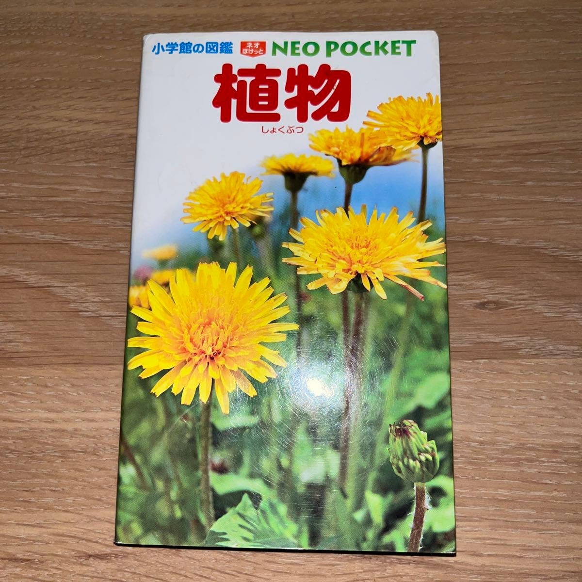 植物 （小学館の図鑑ＮＥＯ　ＰＯＣＫＥＴ　２） 和田浩志／監修・執筆　岡田比呂実／指導・執筆　吹春俊光／指導・執筆