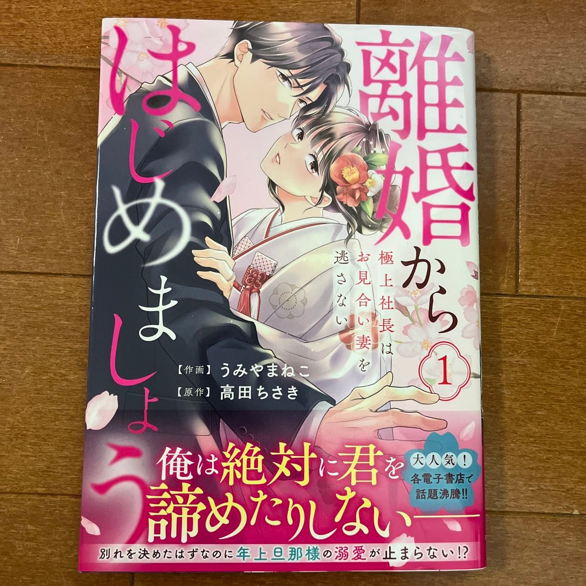 離婚からはじめましょうー極上社長はお見合い妻を逃さないー 1