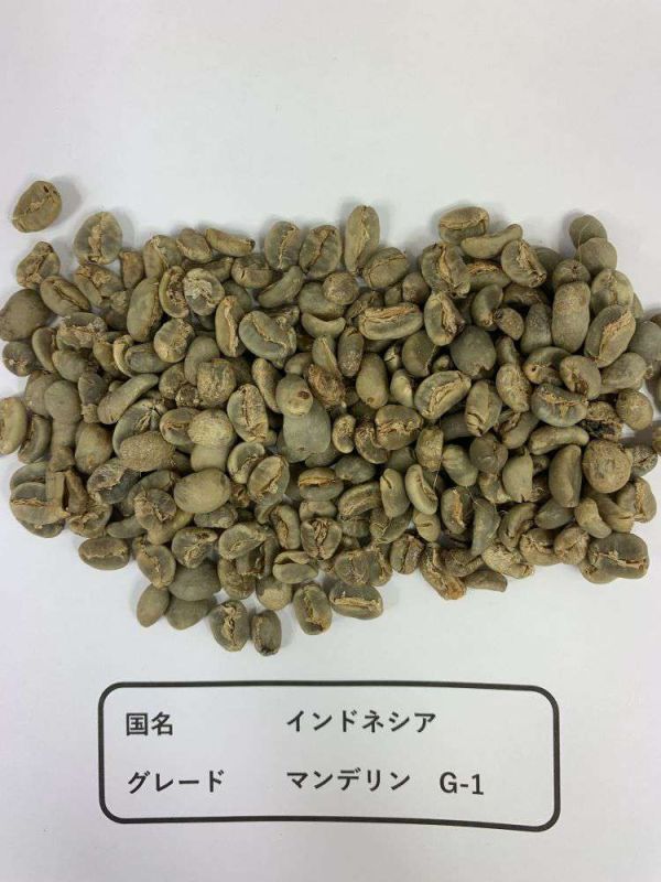 コーヒー 生豆 「インドネシア マンデリン G1」 10kg_バラの状態でのコーヒー豆です。