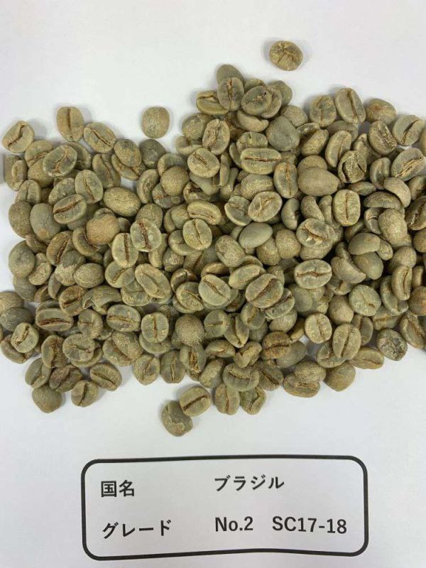 コーヒー 生豆 「ブラジル No.2 17-18」 10kg_バラの状態でのコーヒー豆です。
