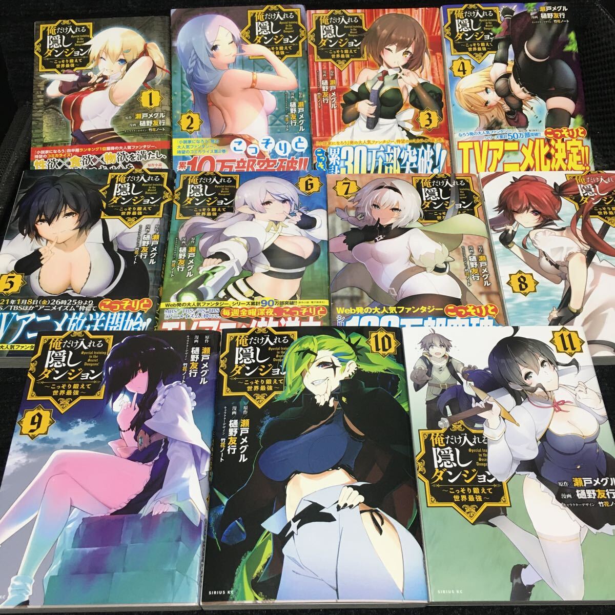 俺だけ入れる隠しダンジョン~こっそり鍛えて世界最強~ 1~11巻セット 全初版1刷 瀬戸メグル 樋野友行 竹花ノート