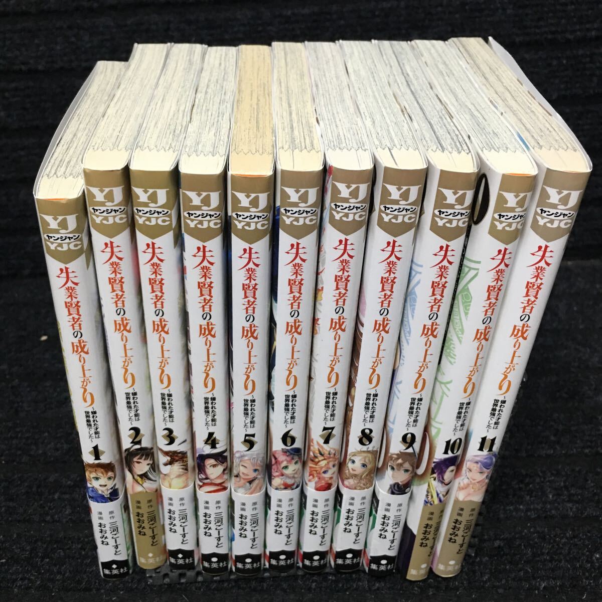 失業賢者の成り上がり 1〜11巻セット 全初版全1刷 三河ごーすと おおみね - 青年 失業賢者の成り上がり 1〜11巻セット 全初版全1刷 三河ごーすと おおみね - 青年