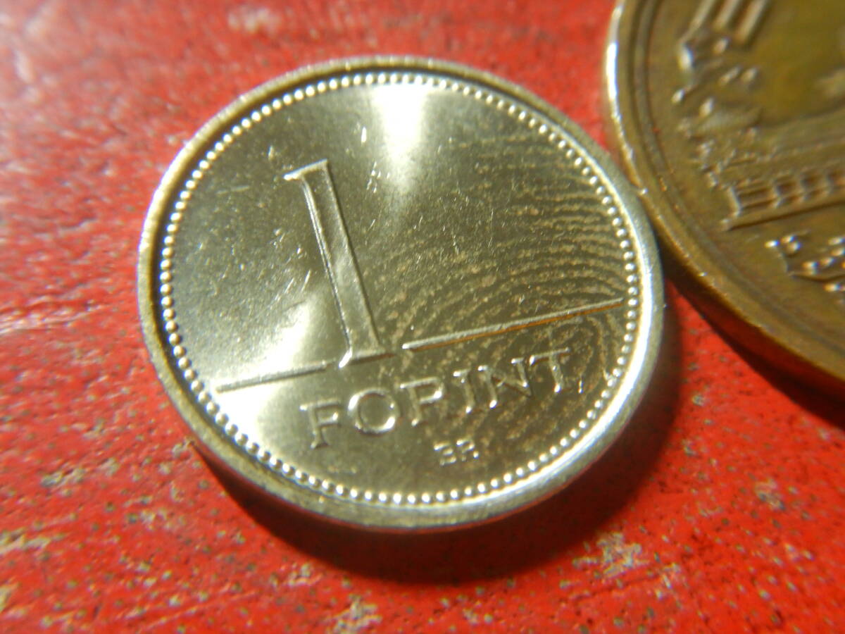 外国・ハンガリー第三共和国／１フォリント・ニッケル黄銅貨（2006年）　240401_画像3