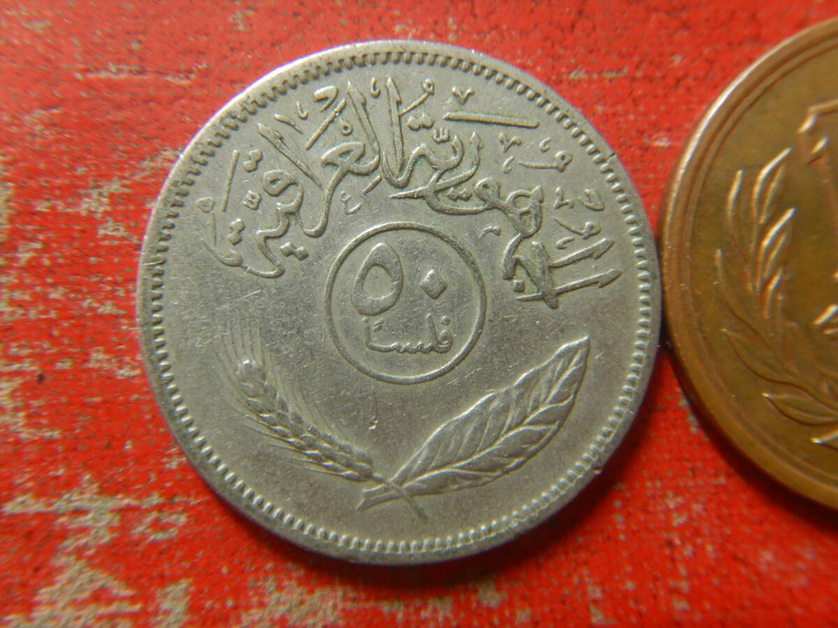 外国・イラク／５０フィルス白銅貨（1969年） 240312の画像1