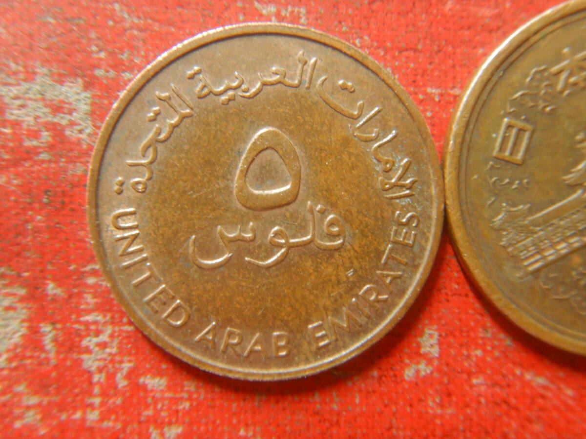外国・アラブ首長国連邦／５フィルス青銅貨：FAO（1973年） 240411の画像2