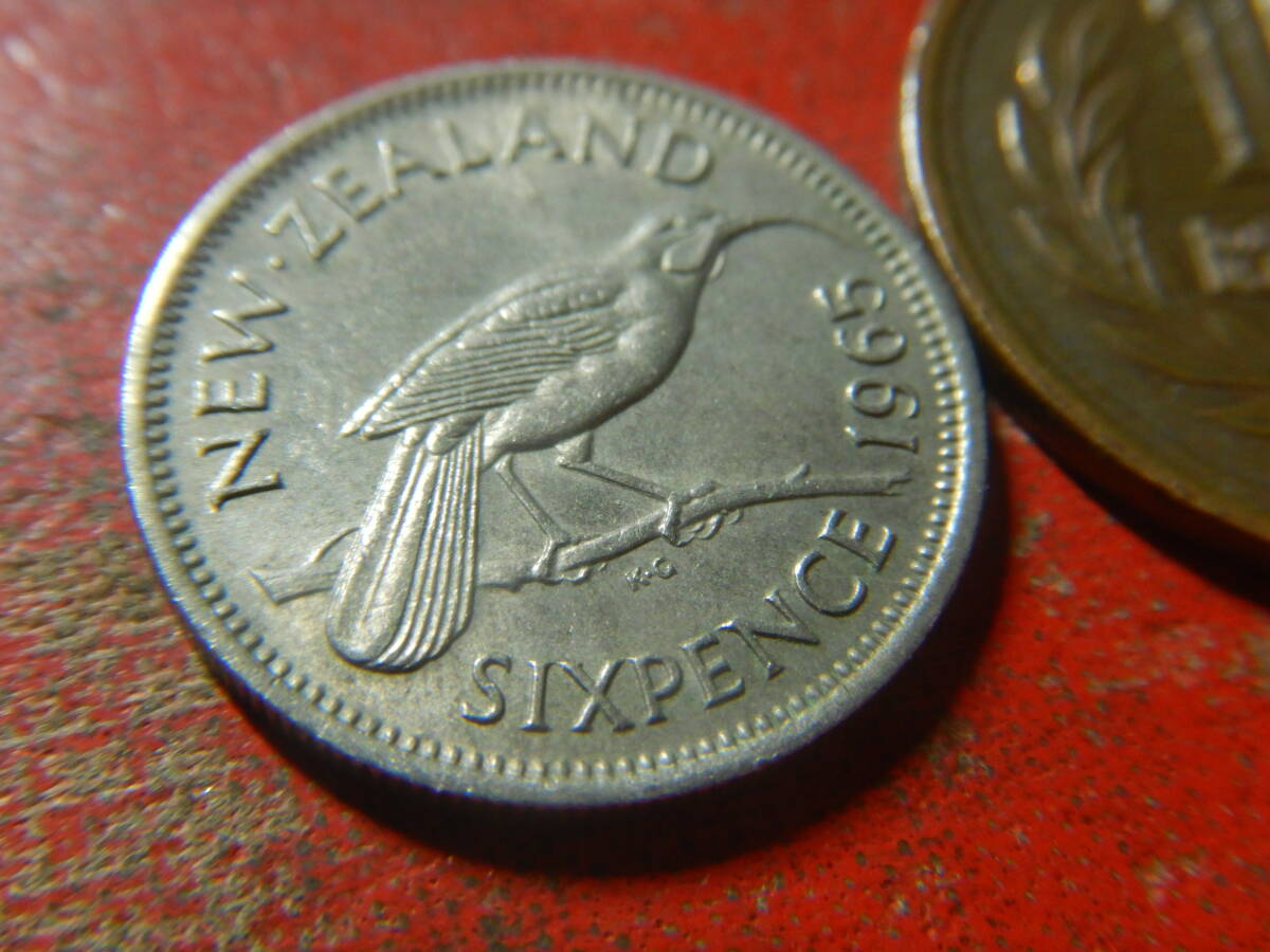 外国・ニュージーランド／６ペンス白銅貨（1965年） 240414の画像3