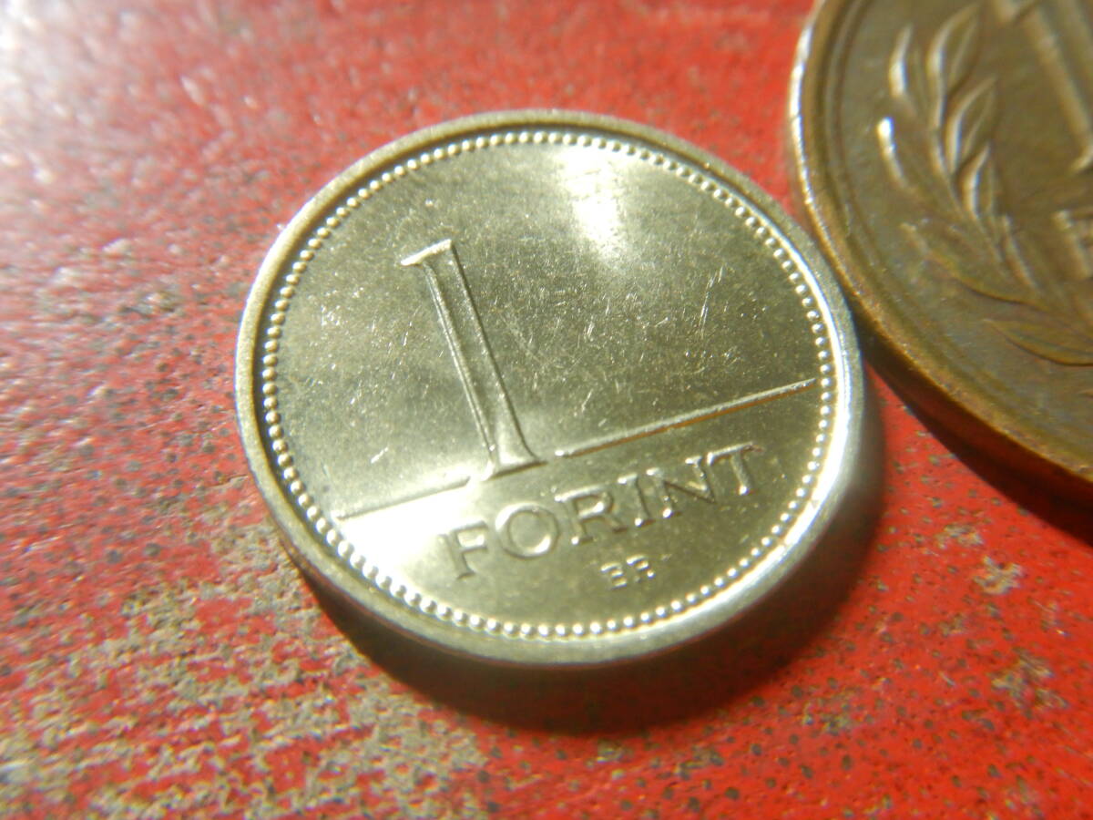 外国・ハンガリー第三共和国／１フォリント・ニッケル黄銅貨（2004年）　240415_画像3