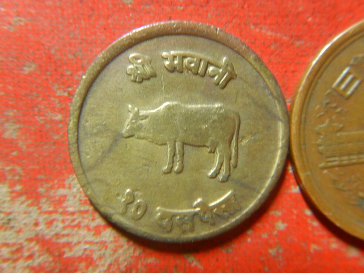 外国・ネパール／１０パイサ黄銅貨　24042502_画像2