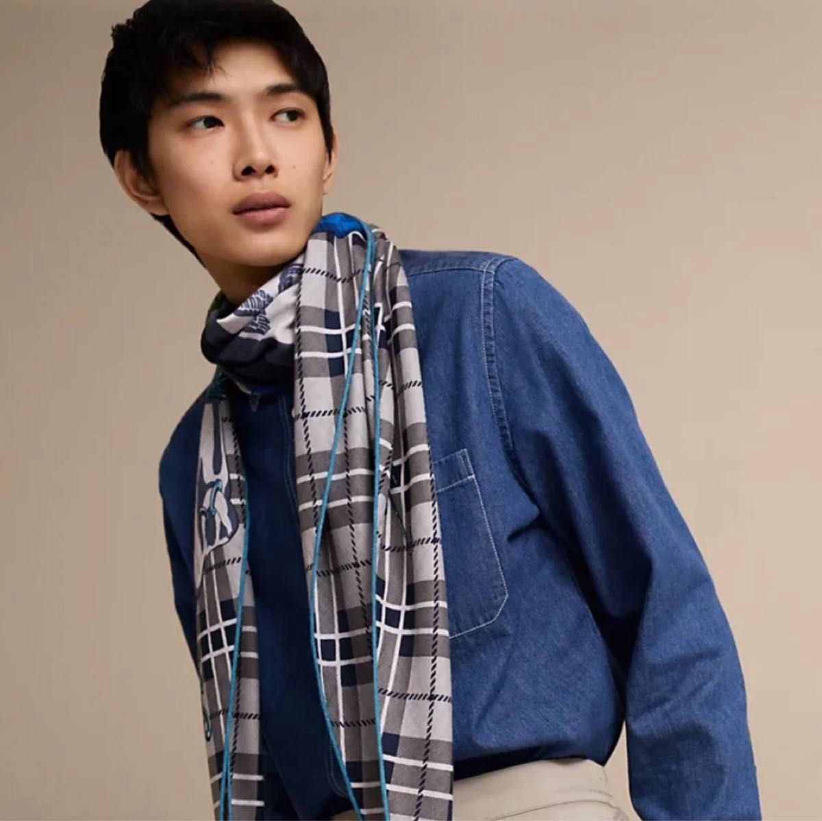 エルメス ロザンジュ シュヴァルパンク トライアングル ストール エルメス ロザンジュ シュヴァルパンク トライアングル ストール