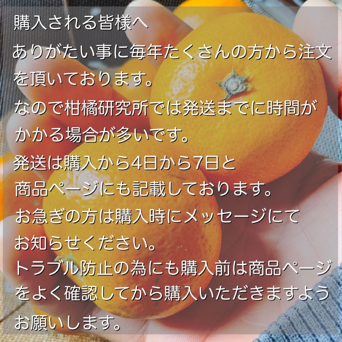 清見オレンジ　10キロ　訳あり　サイズ混合　産地直送　有田みかん　柑橘　和歌山みかん　