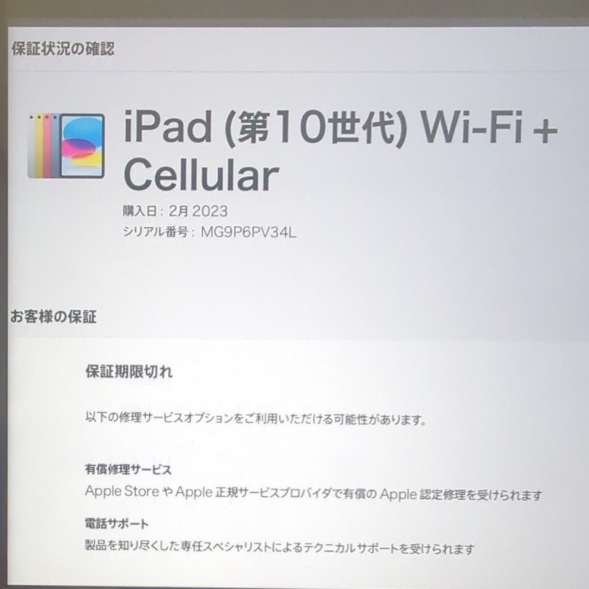 【ほぼ未使用】iPad 10.9インチ 第10世代 Cellular + Wi-Fiモデル 64GB PITAKAケースおまけ