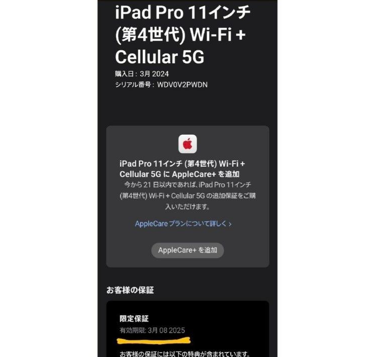 【未使用】iPad Pro 11インチ 第4世代 Wi-Fi ＋ Cellular 2TB スペースグレイ SIMフリー 2022