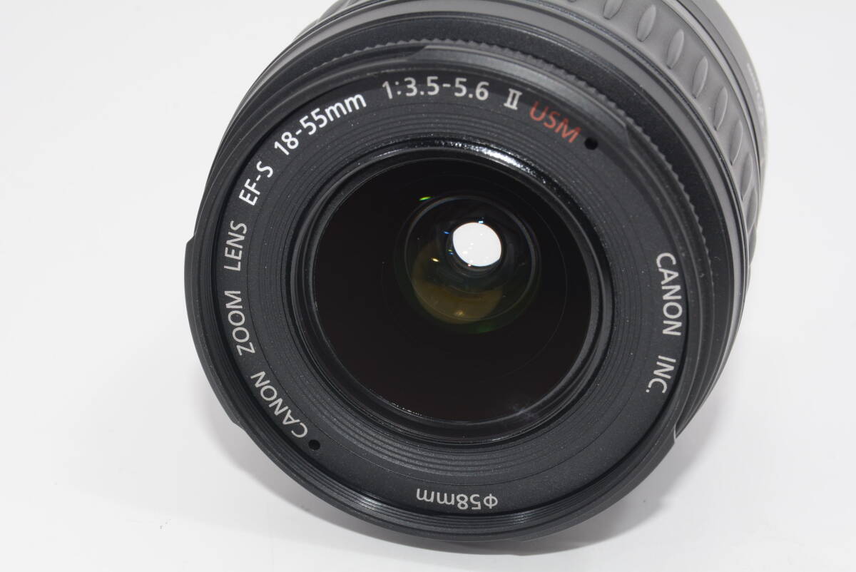 【外観特上級】Canon EOS Kiss Digital X / 18-55mm F3.5-5.6 USM #u1133の画像8